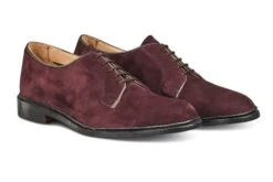 Robert Derby Shoe - Barolo Suede 7 Robert Derby Shoe - Barolo Suede -Chic Shoes Store robert derby shoe barolo suede 261898