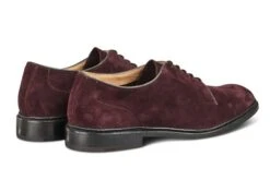 Robert Derby Shoe - Barolo Suede 8 Robert Derby Shoe - Barolo Suede -Chic Shoes Store robert derby shoe barolo suede 885258