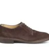 Robert Derby Shoe - Coffee Suede